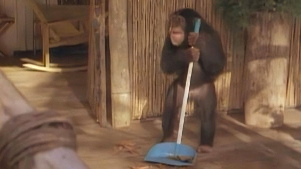 Tarzan and the Movie Star