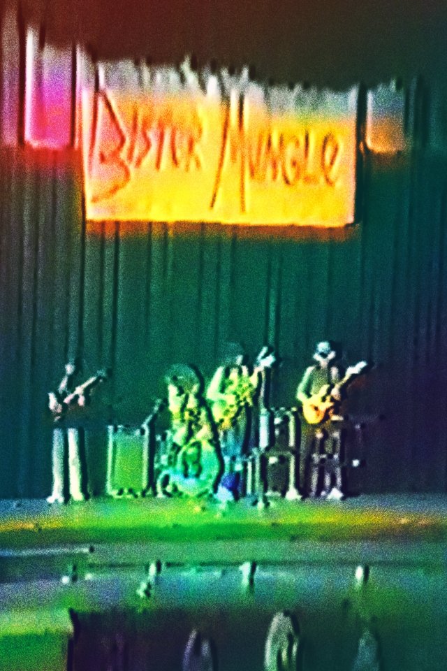 Poster de Mr. Bungle: Bister Mungle - Eureka High School Talent Show