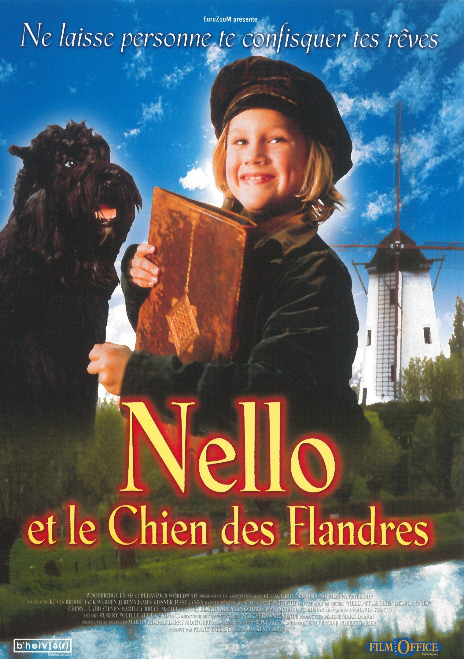 Affiche du film A Dog of Flanders