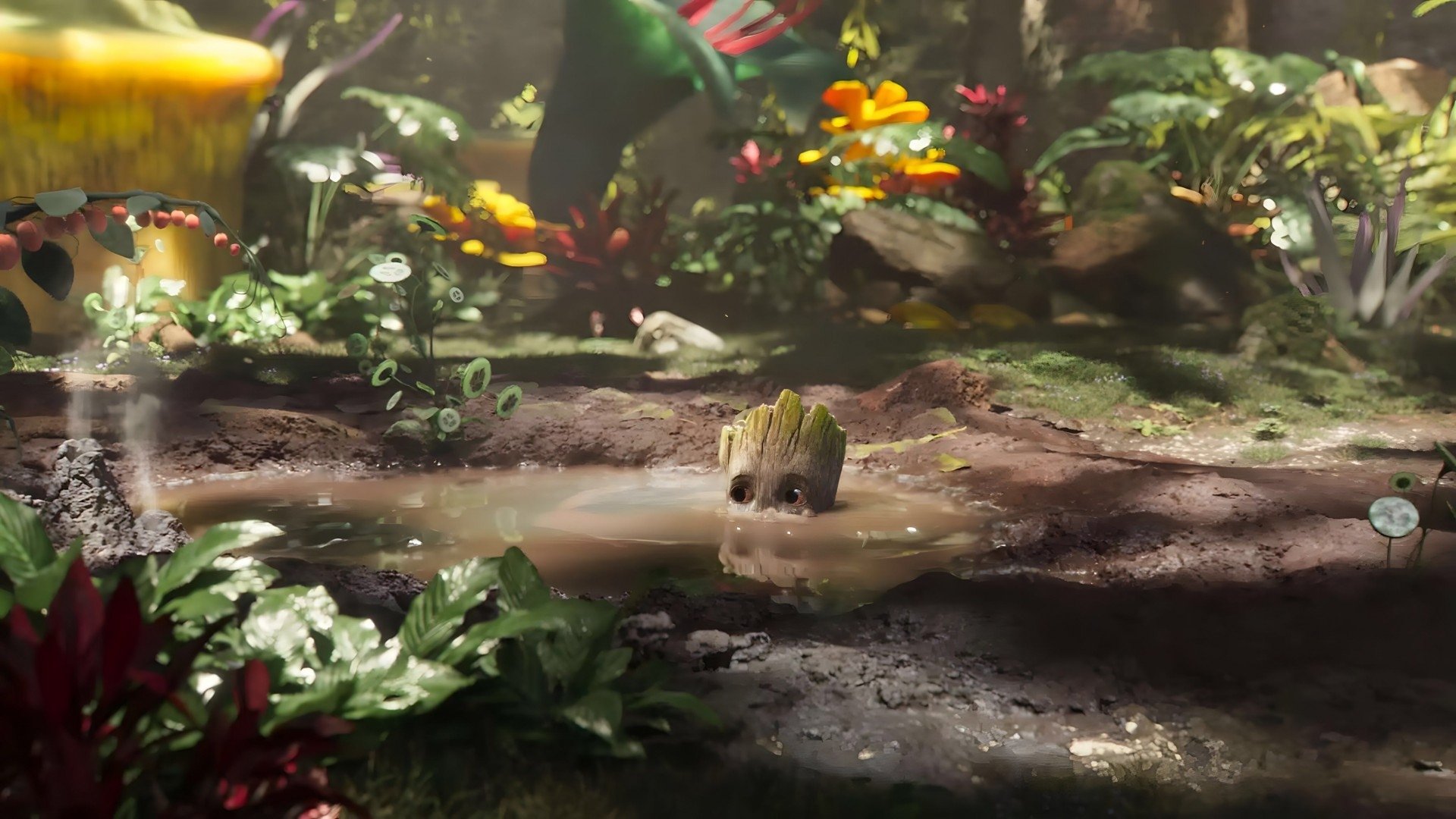Backdrop image