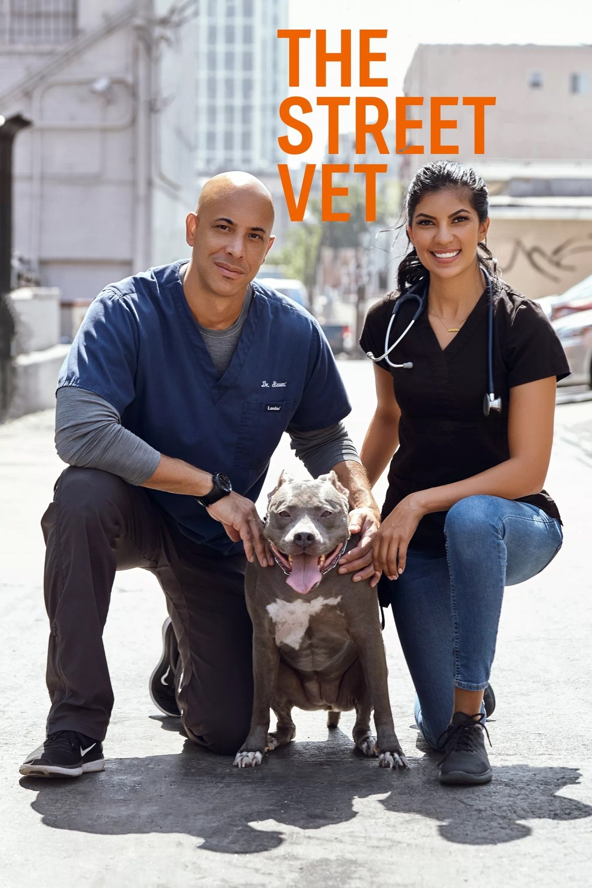 Poster de The Street Vet