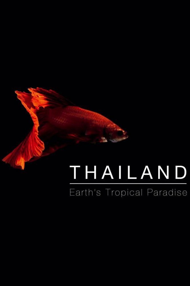 Poster de Tailândia: O Paraíso Tropical da Terra