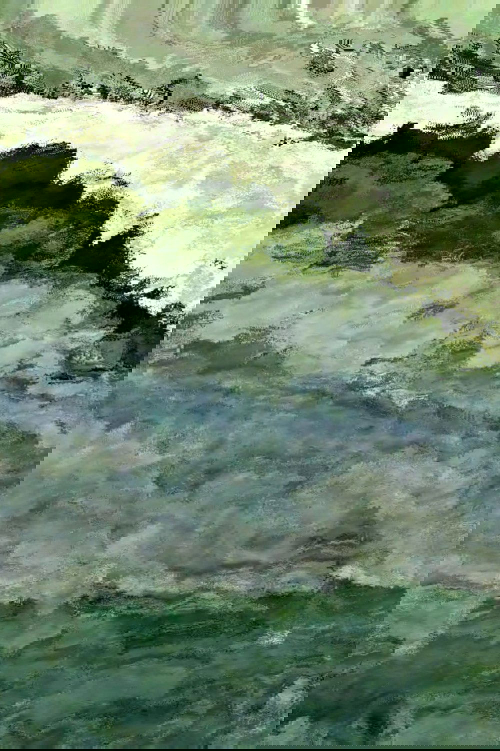 Vielle-Saint-Girons, Untitled #3, Recording #2
