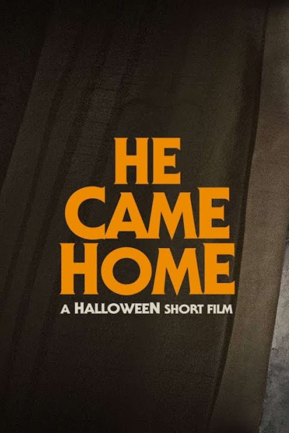 Poster de He Came Home