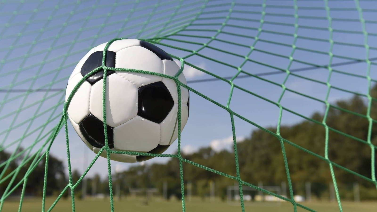 Beruf Fussballprofi - Ein Traum wird Realität