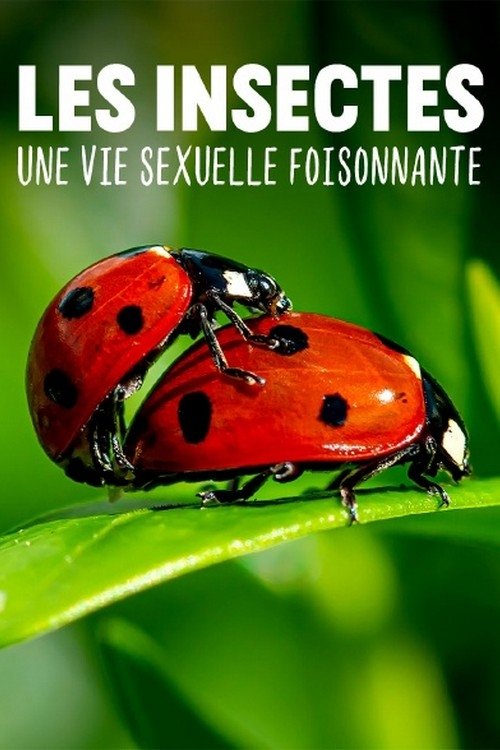Poster de Les insectes, une vie sexuelle foisonnante