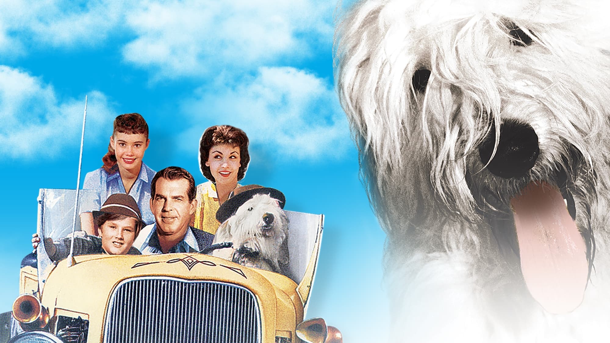 The Shaggy Dog 1959 123movies