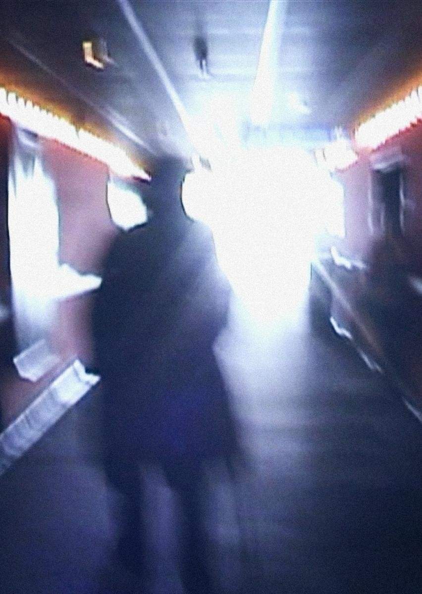 Poster de Stan Brakhage Exits the Cinema and Enters the Light of Day