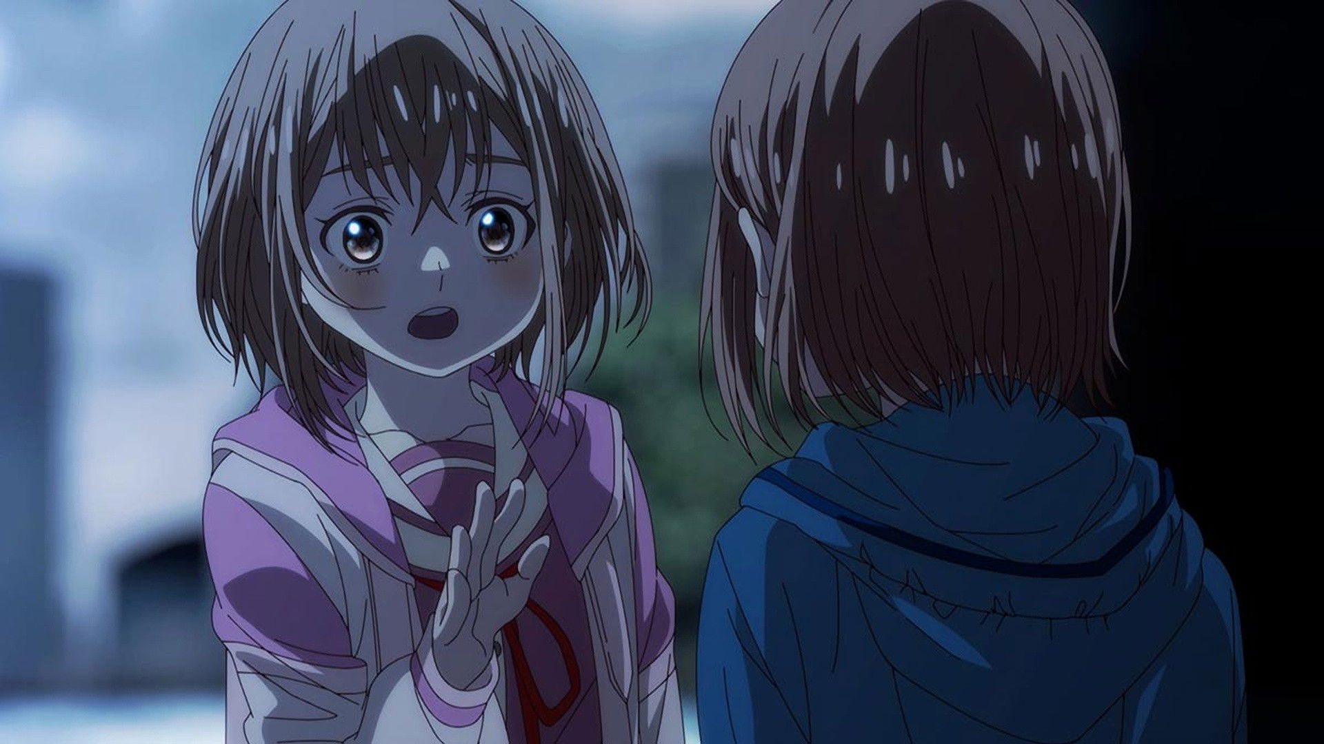 Chocolate Bars Once the Rain Stops