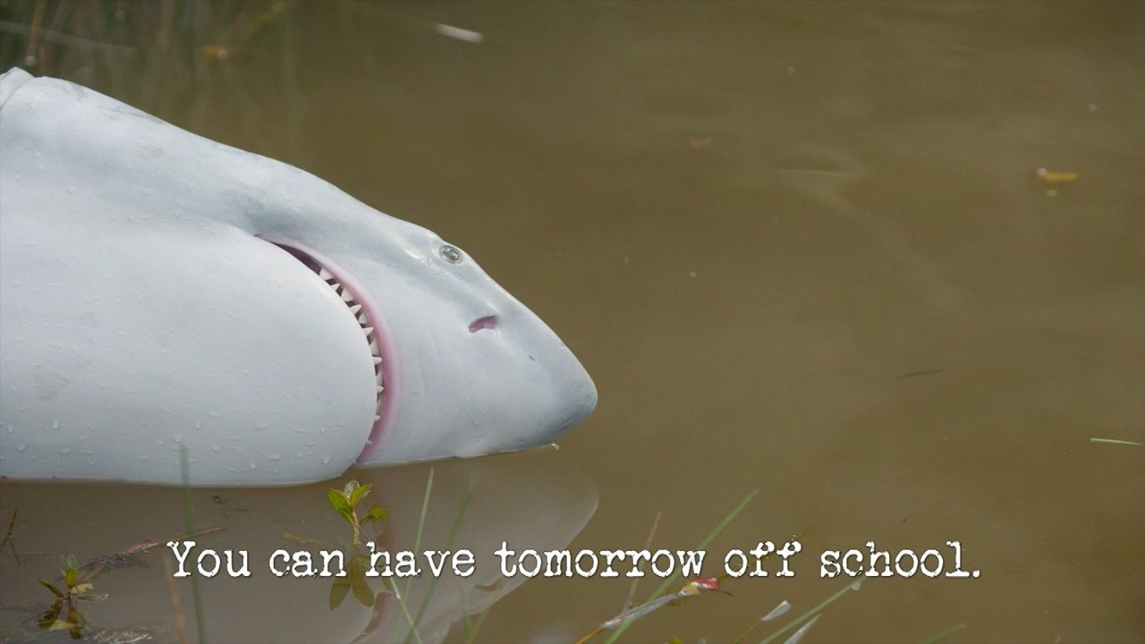 You Can Have Tomorrow off School