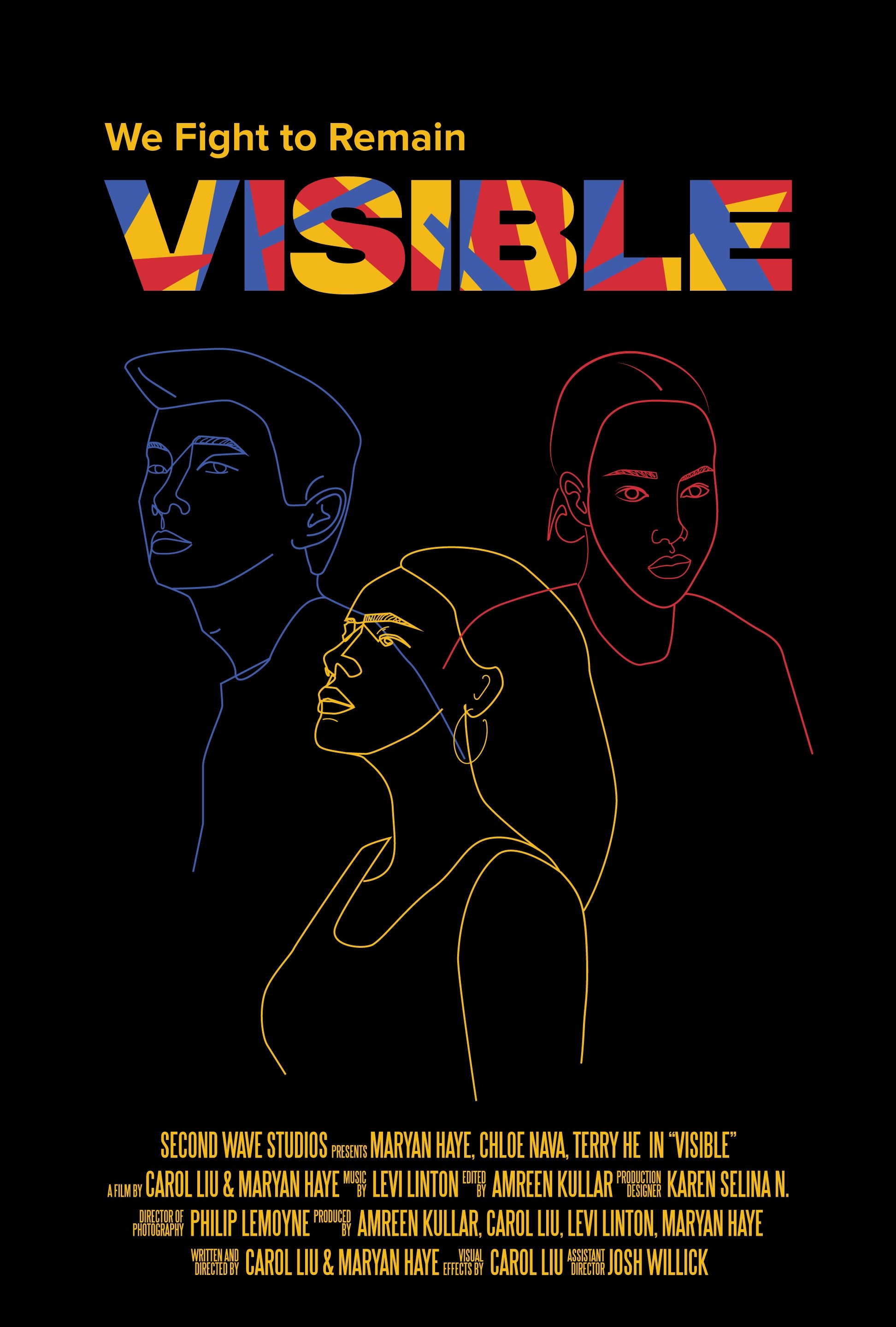 Poster de Visible