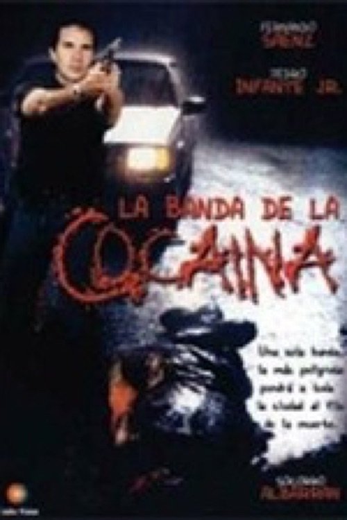 Poster de Un ingeniero en la capital