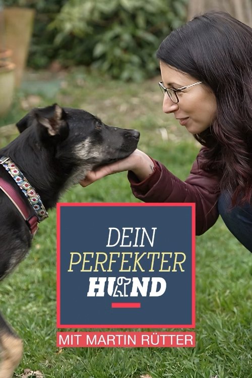 Poster de Dein perfekter Hund