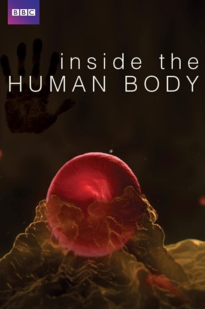 Poster de Inside the Human Body