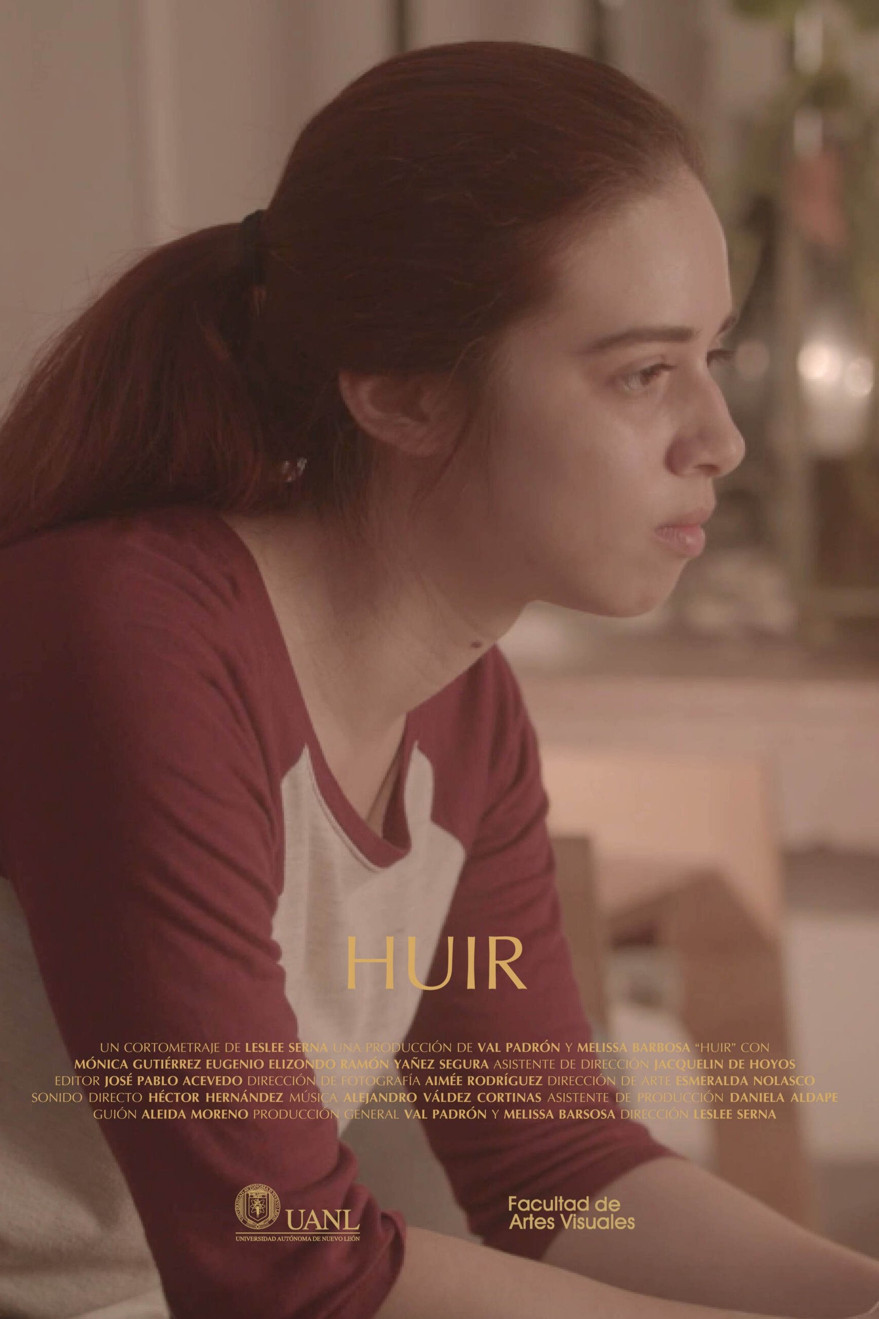 Poster de Huir