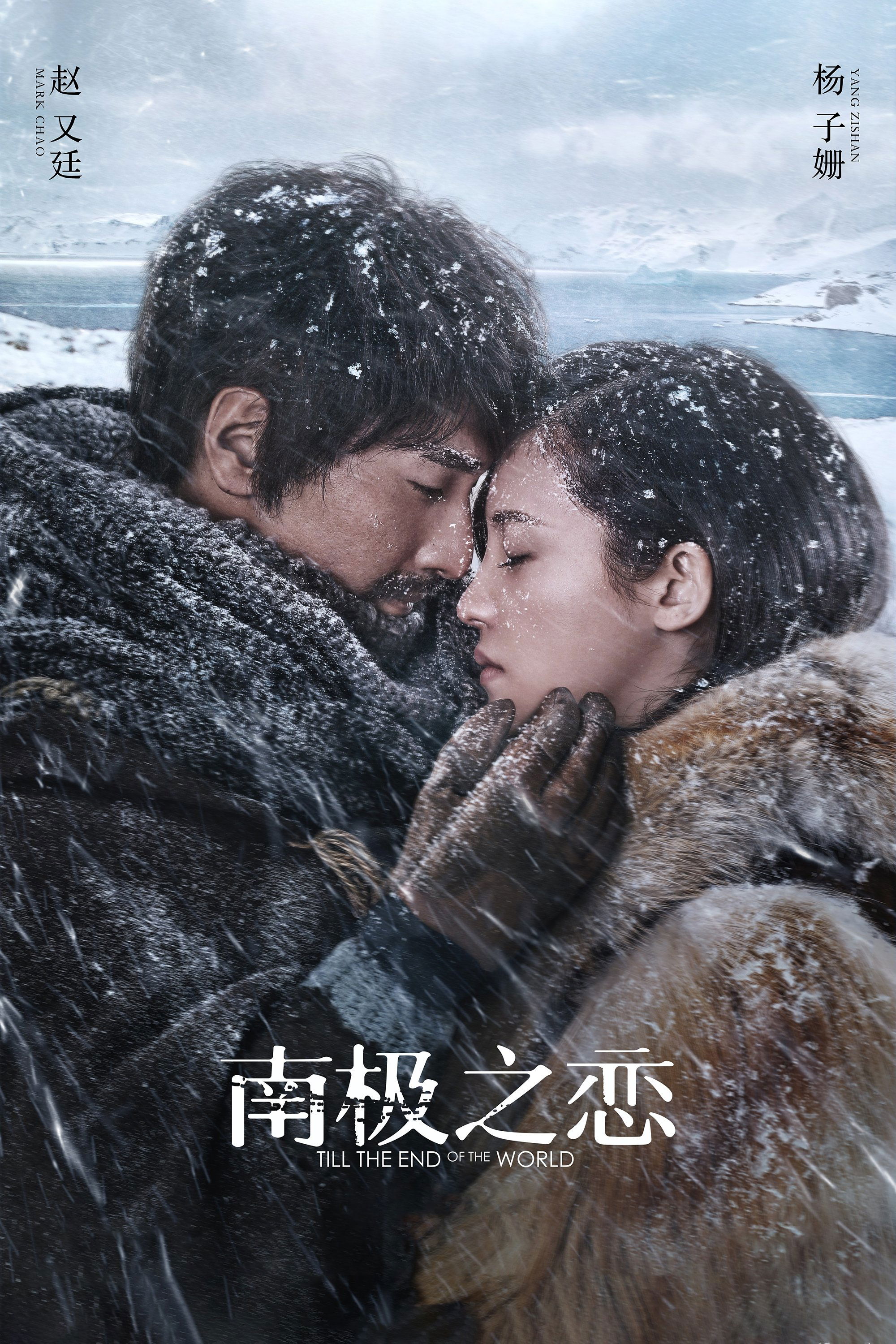 Poster de 南极之恋