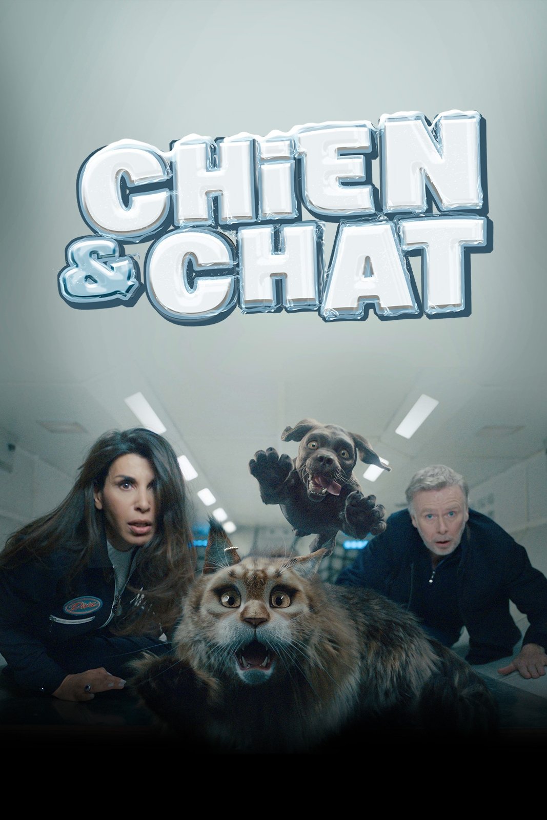 Affiche du film Chien et Chat