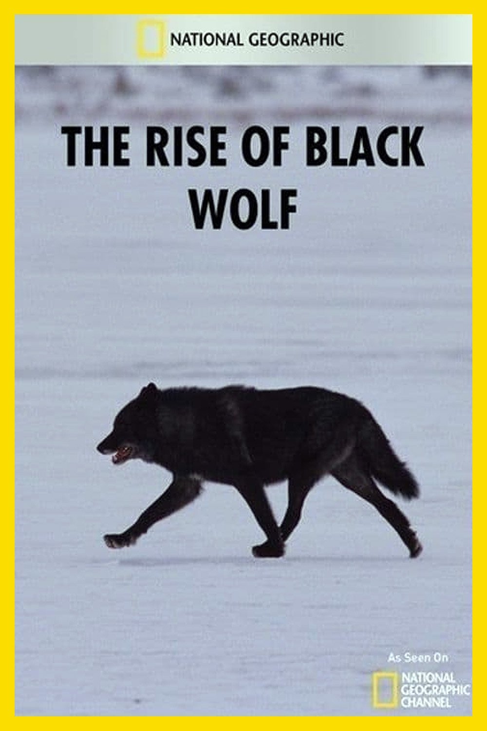 Poster de O Lobo de Yellowstone