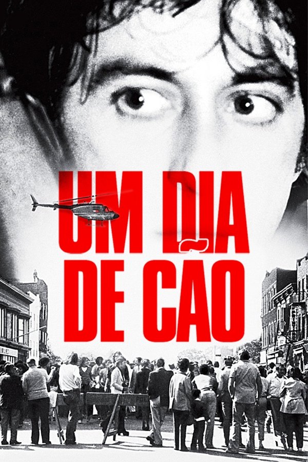 Poster de Um Dia de Cão