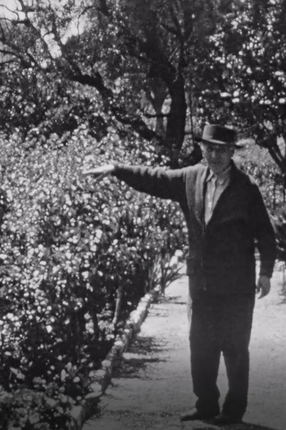 Poster de Chagall dans son jardin a Saint-Paul-de-Vence