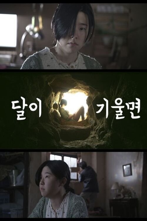 Poster de 달이 기울면
