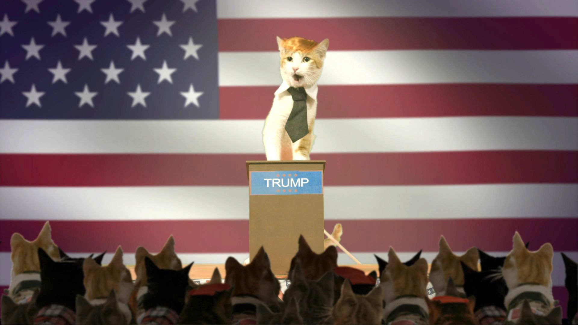 Donald Trump & Paris Hilton