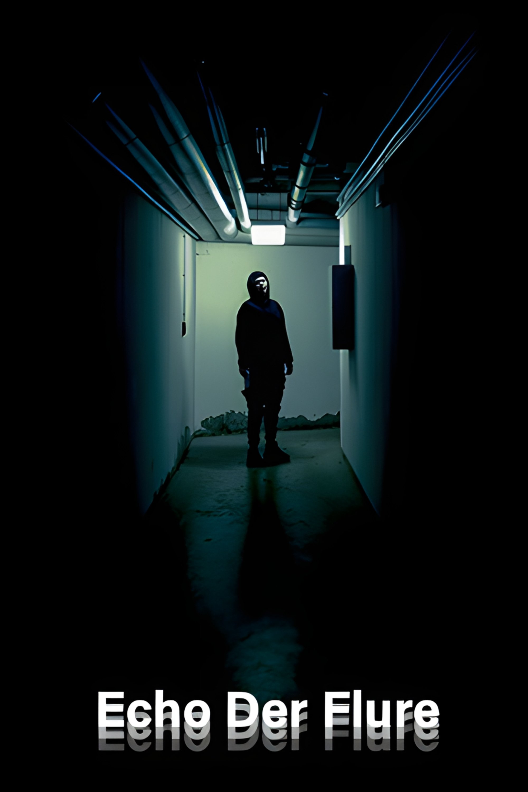 Poster de Echo der Flure