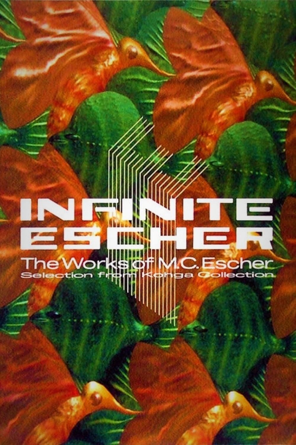 Affiche du film Infinite Escher