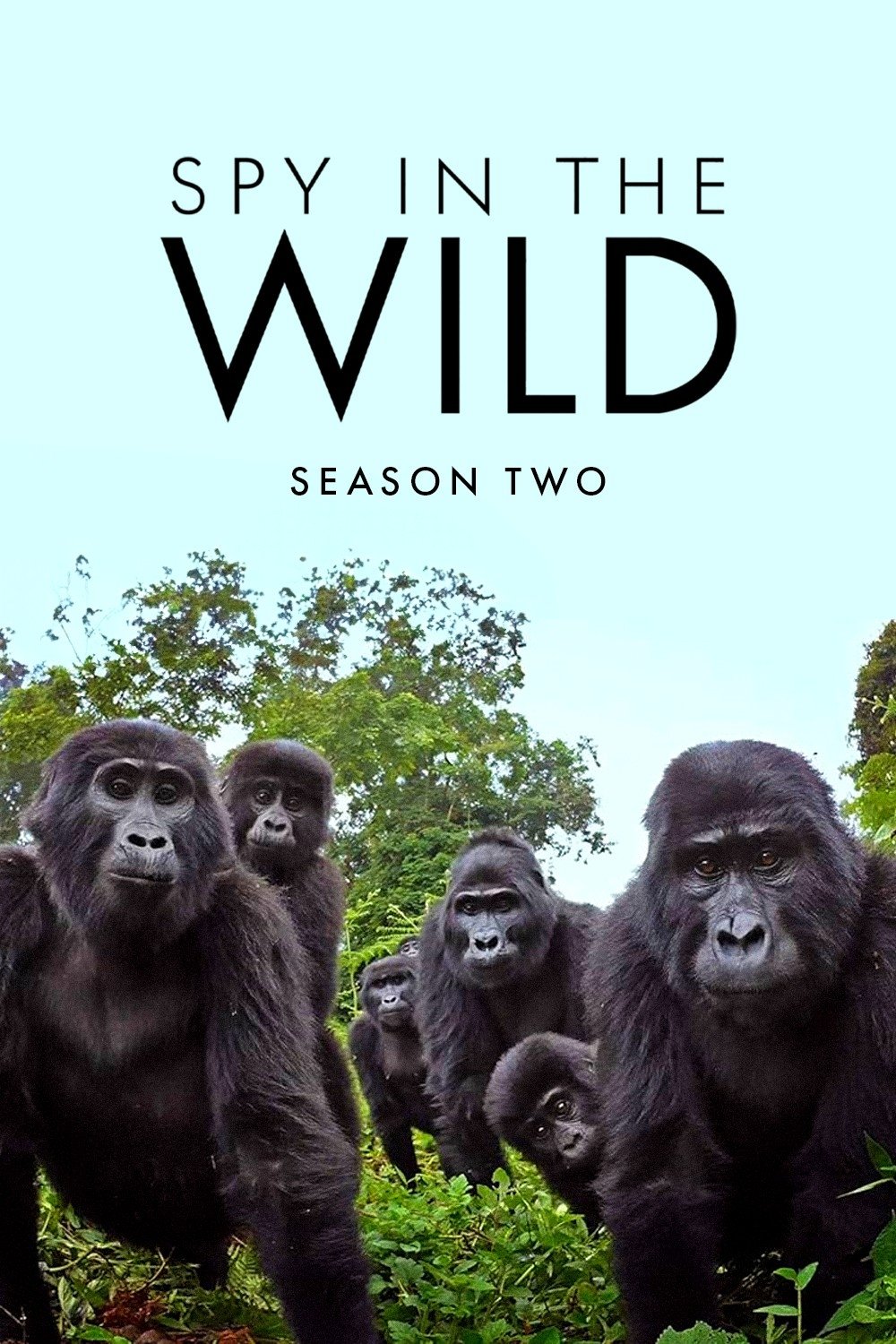Poster de Temporada 2