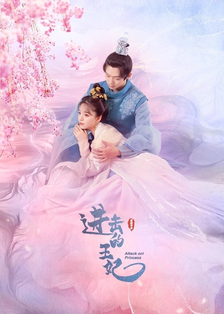 Poster de 进击的王妃