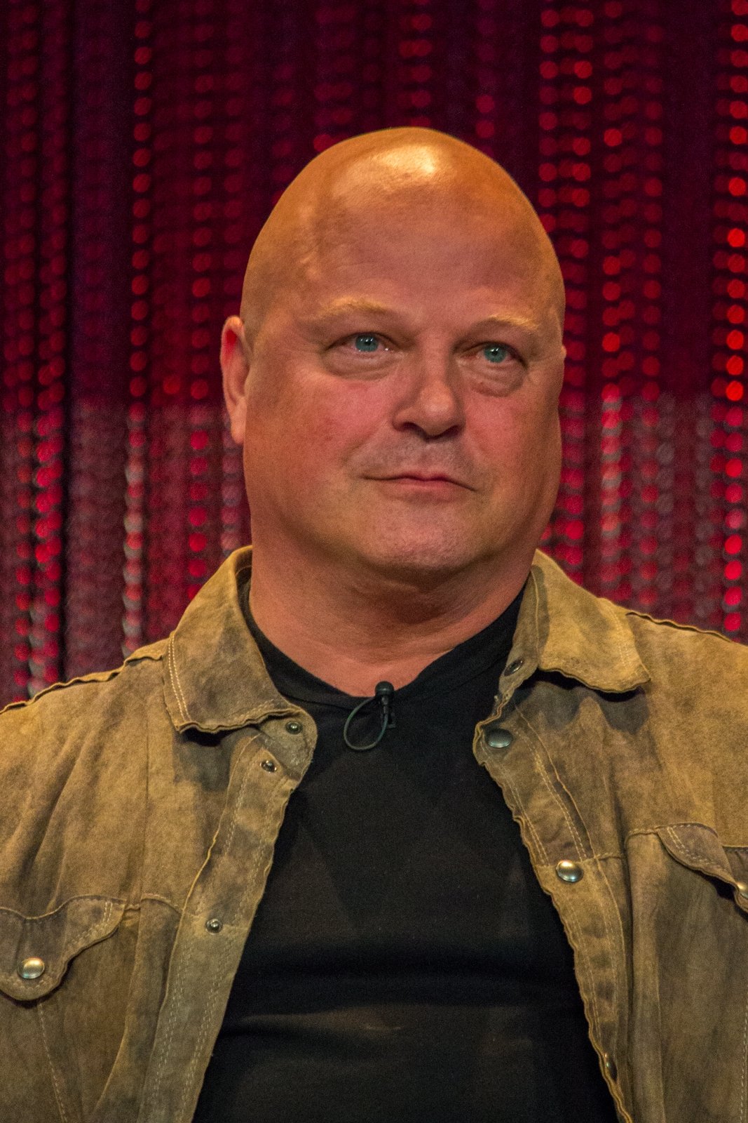 Foto de Michael Chiklis