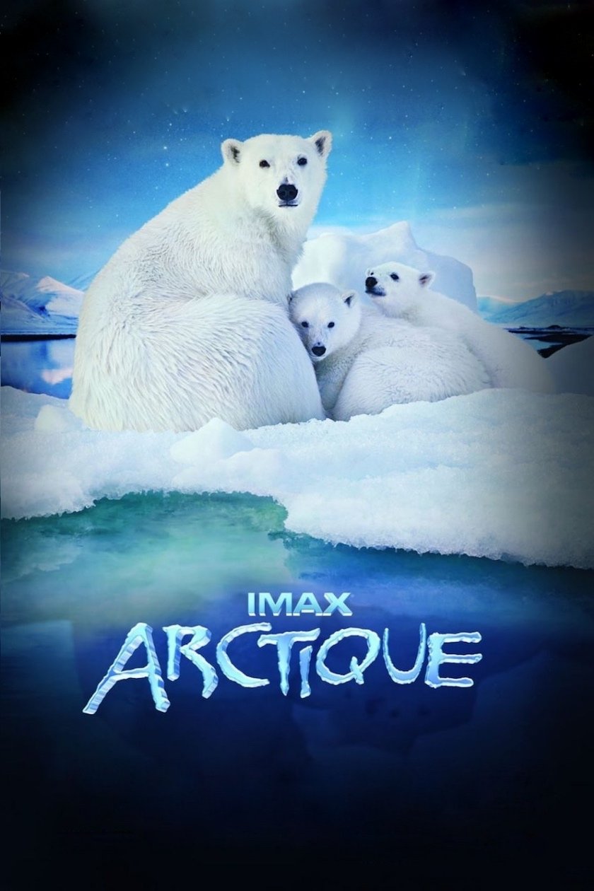 Affiche du film Arctique 483