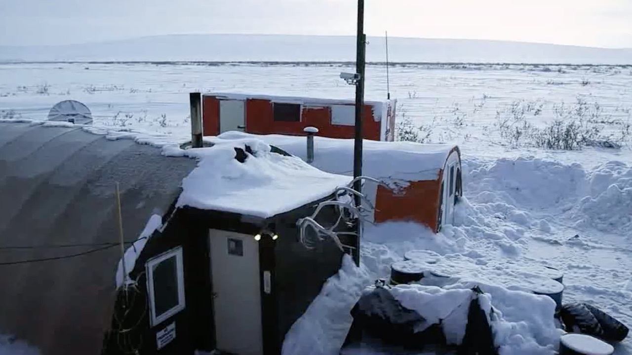Life Below Zero