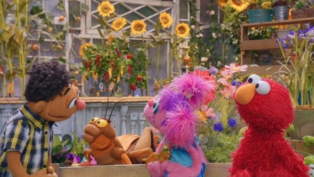 Sesame Street - Season 54 Episode 34 : The Mystery Cricket