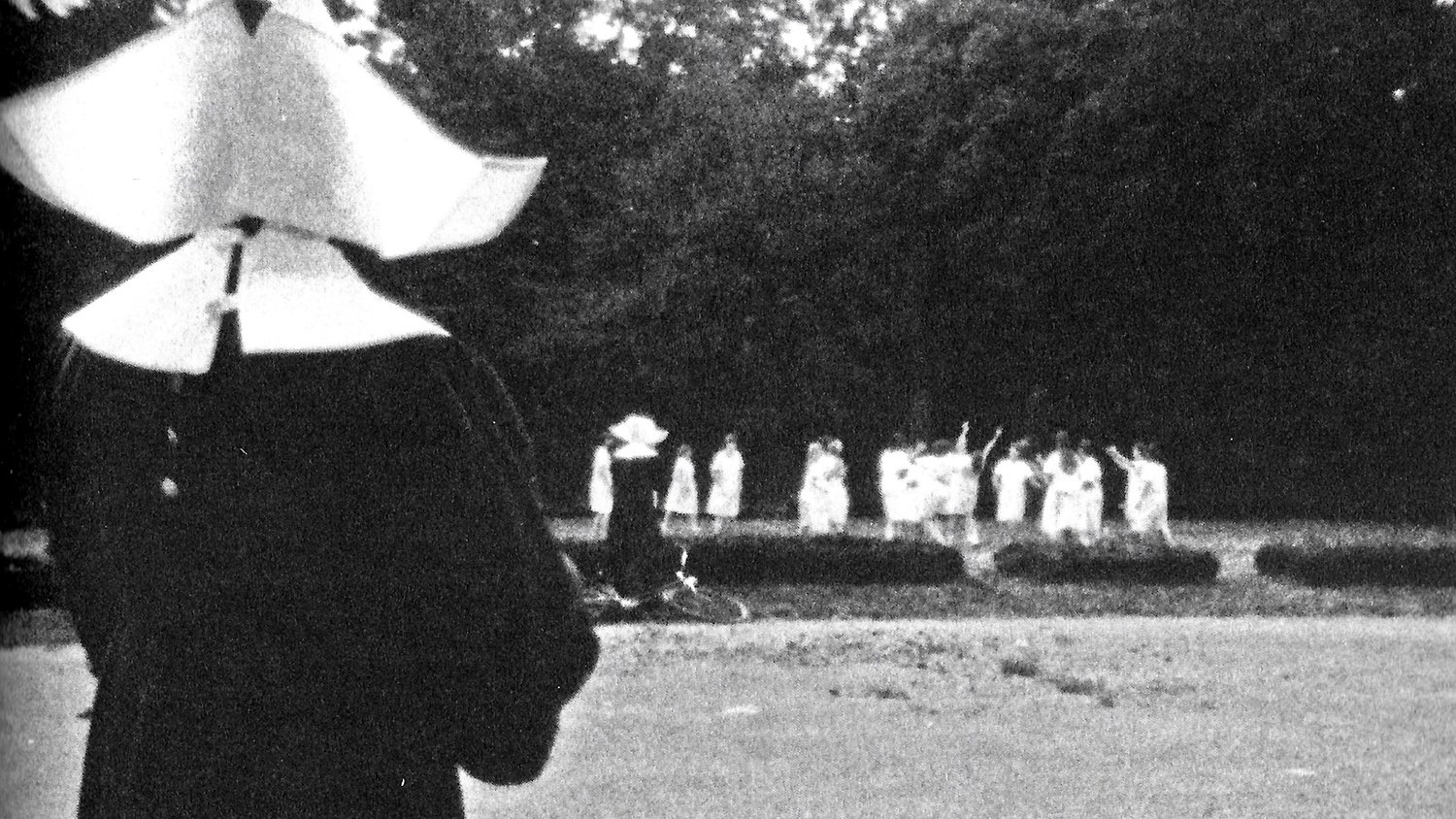 Die blinde Eule (1979)