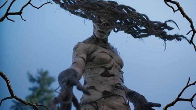 The Birch