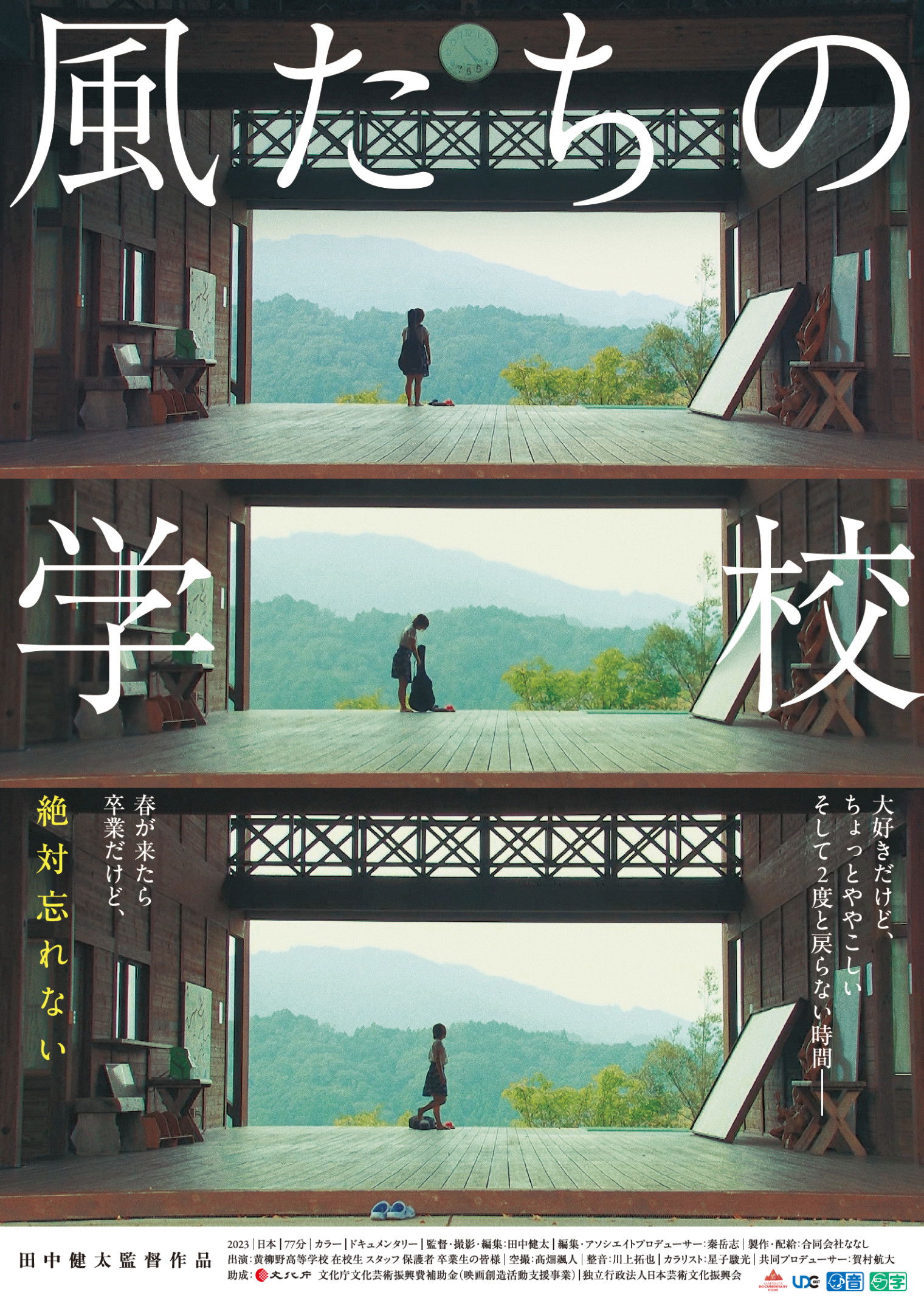 The Shape of the Wind