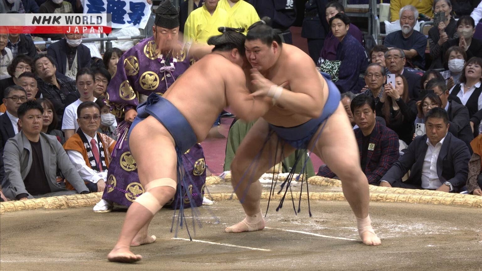 GRAND SUMO Highlights