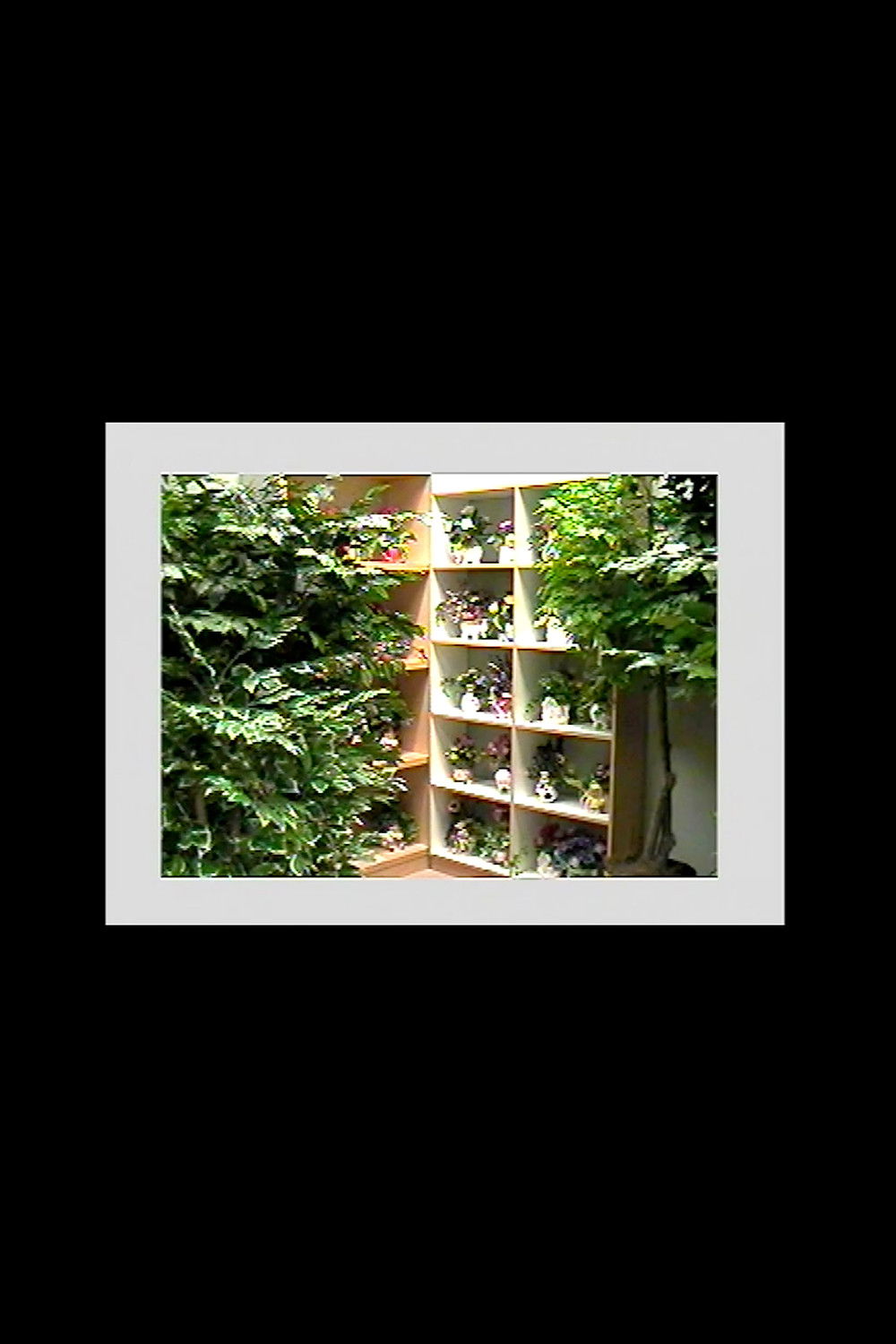 Oral History (Found Tape)