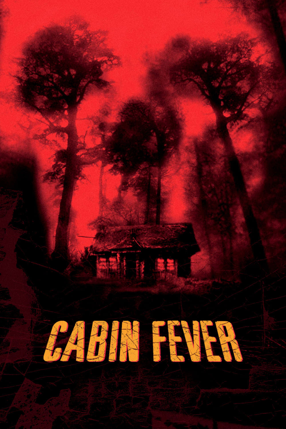 Cabin Fever Movie poster