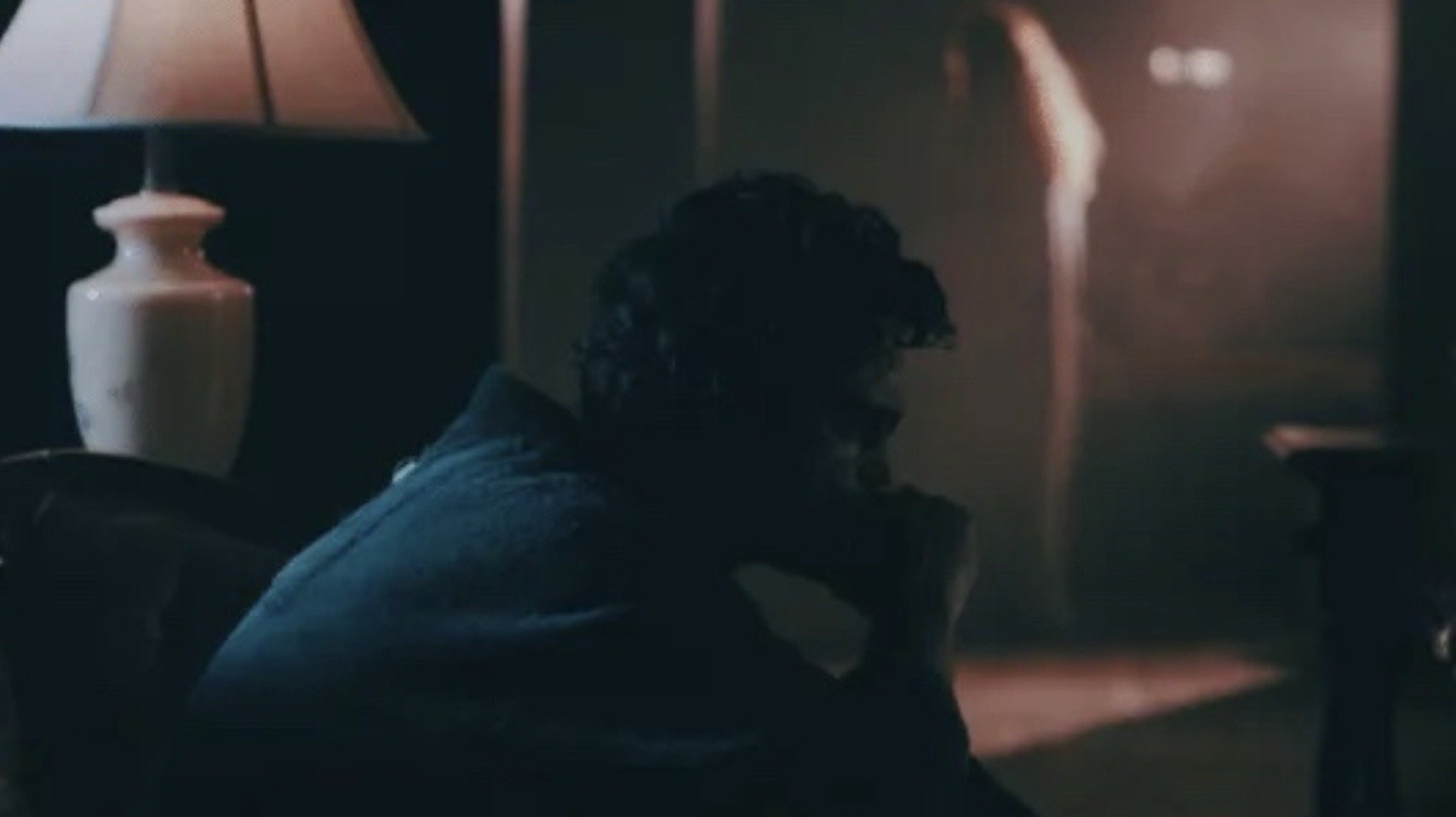 The Domicile (2017)