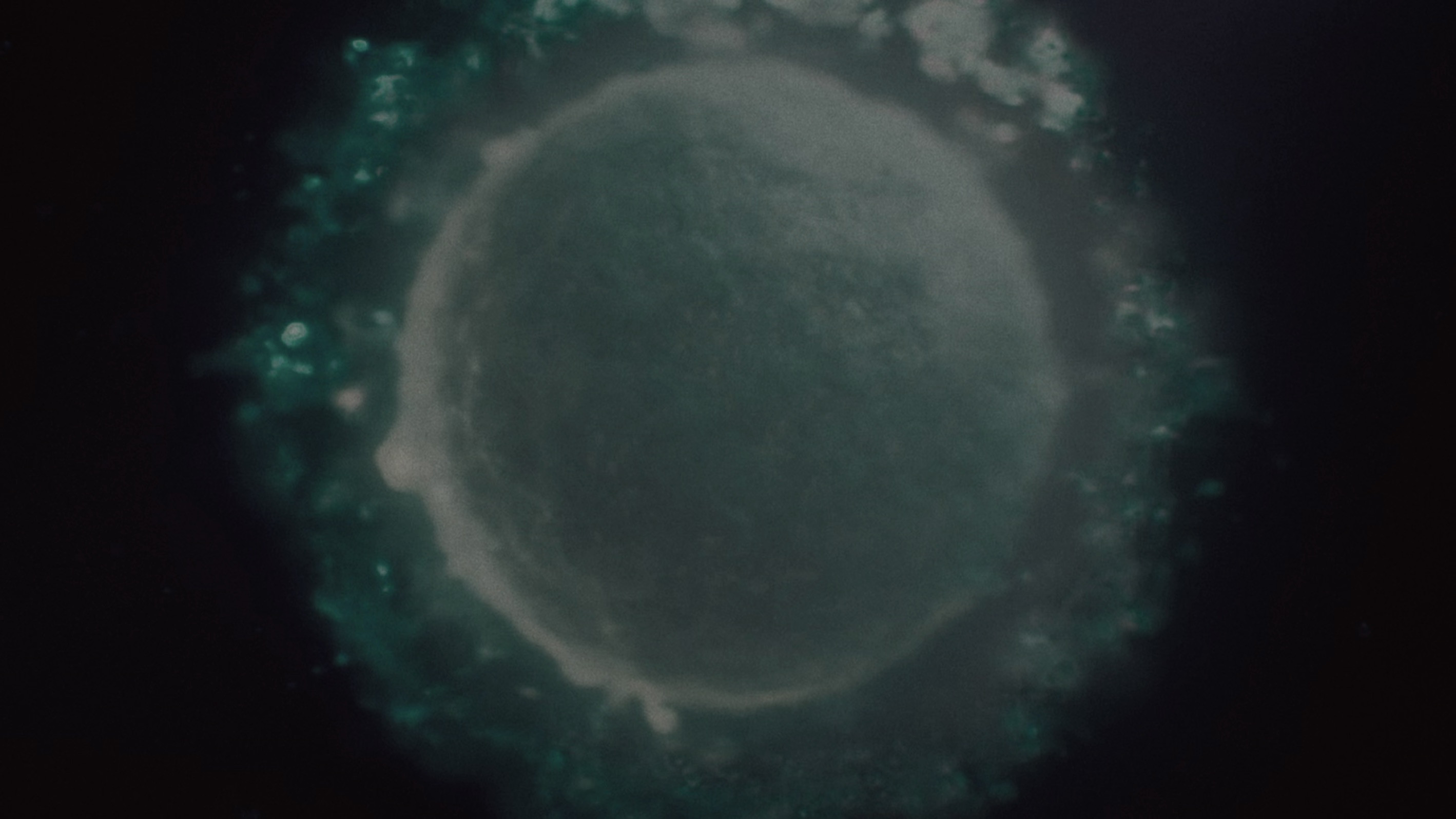 Marty Supreme backdrop