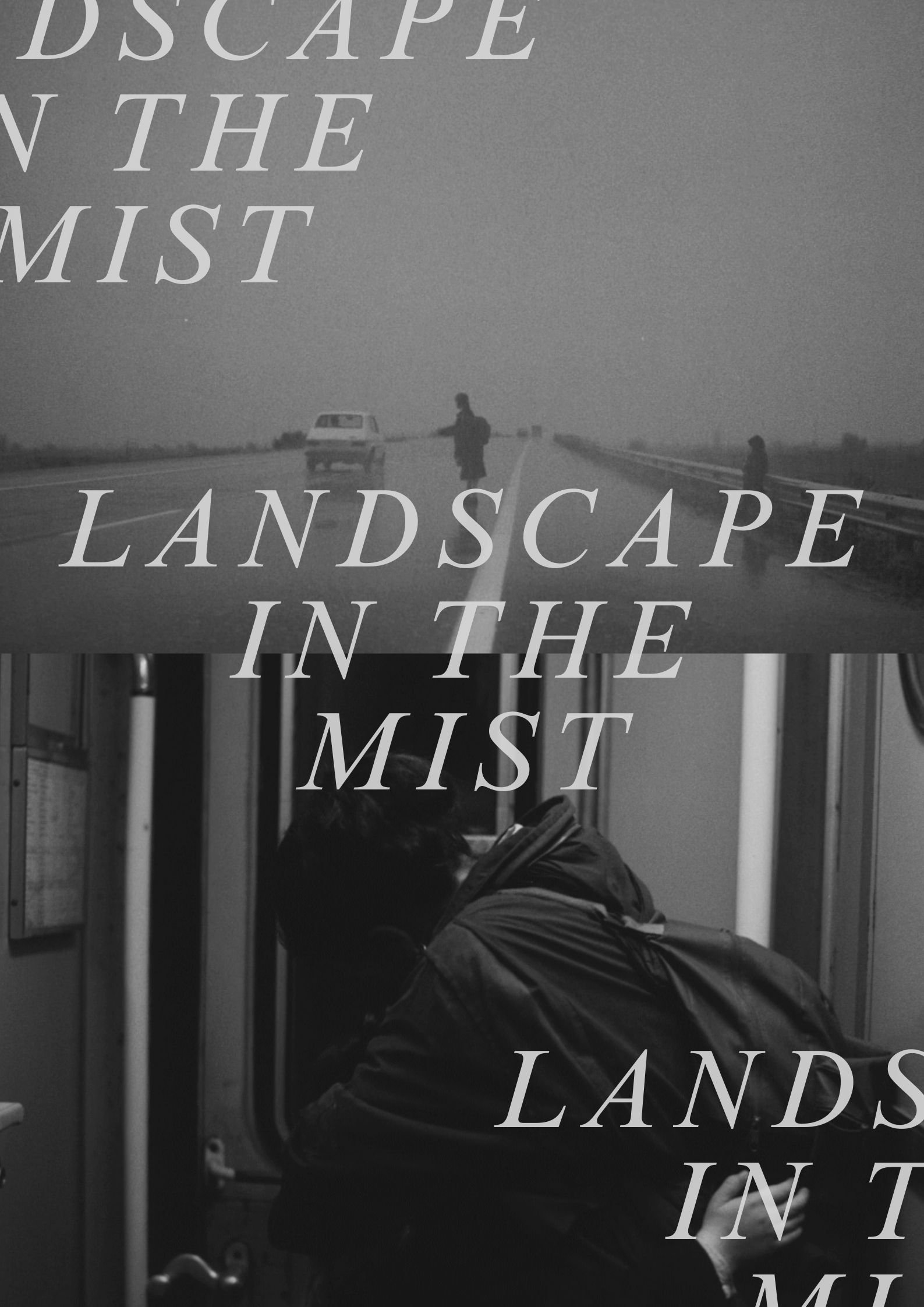 Landscape in the Mist