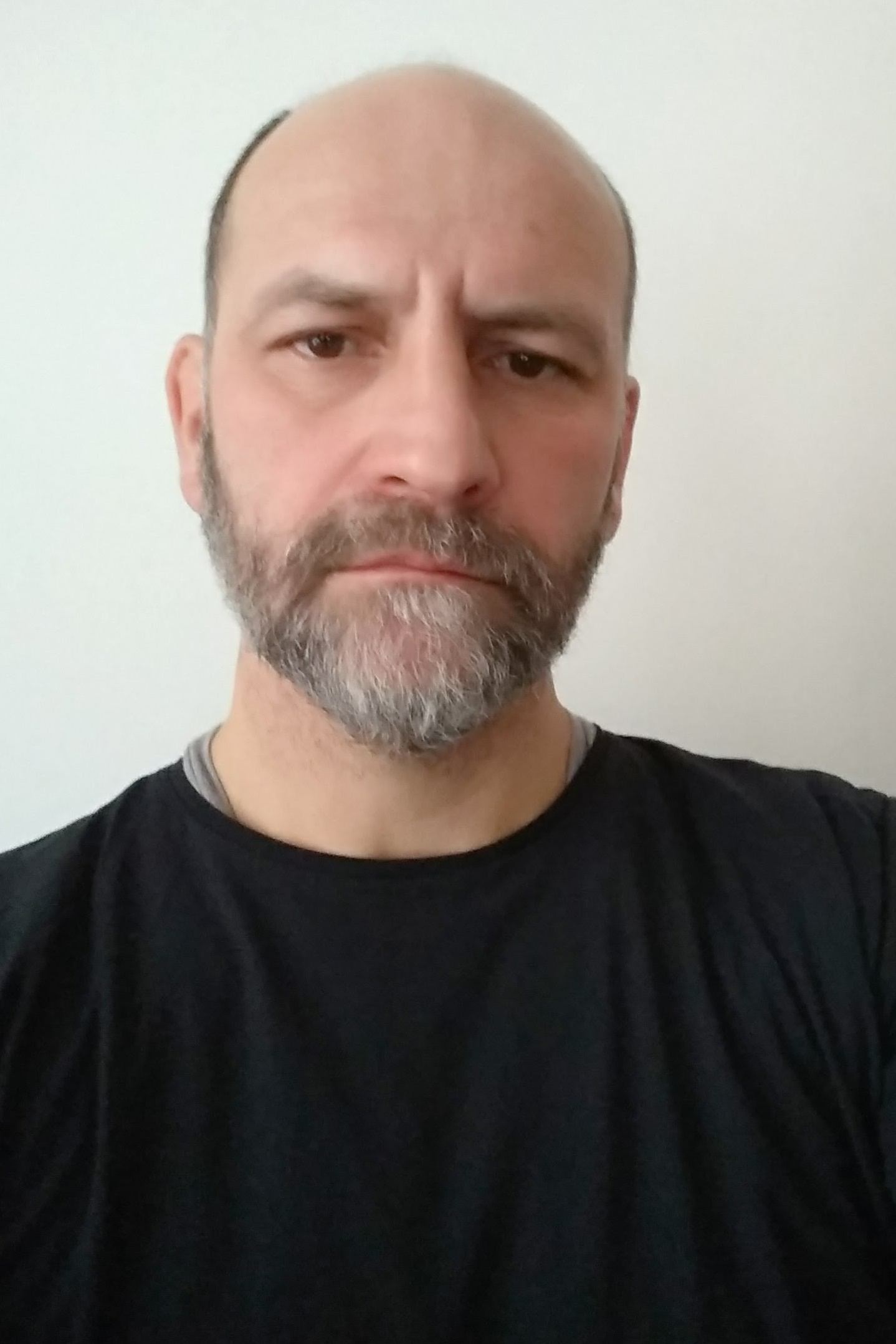 et billede af Zsolt Páll