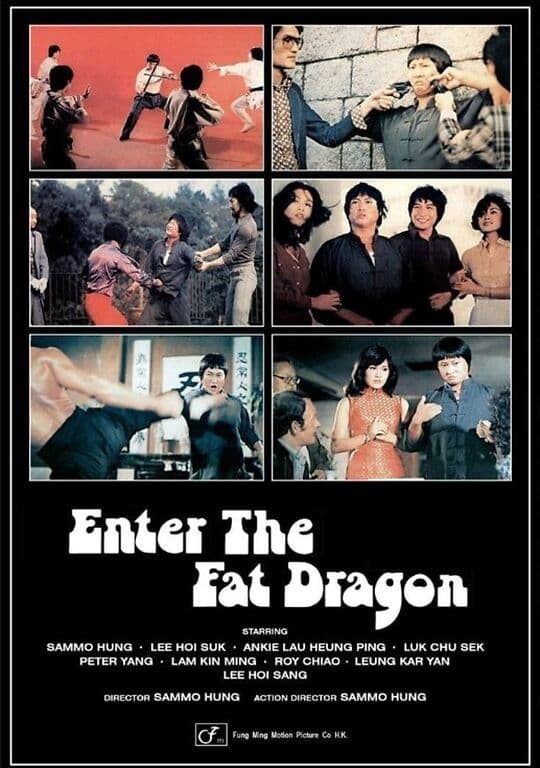 Enter the Fat Dragon