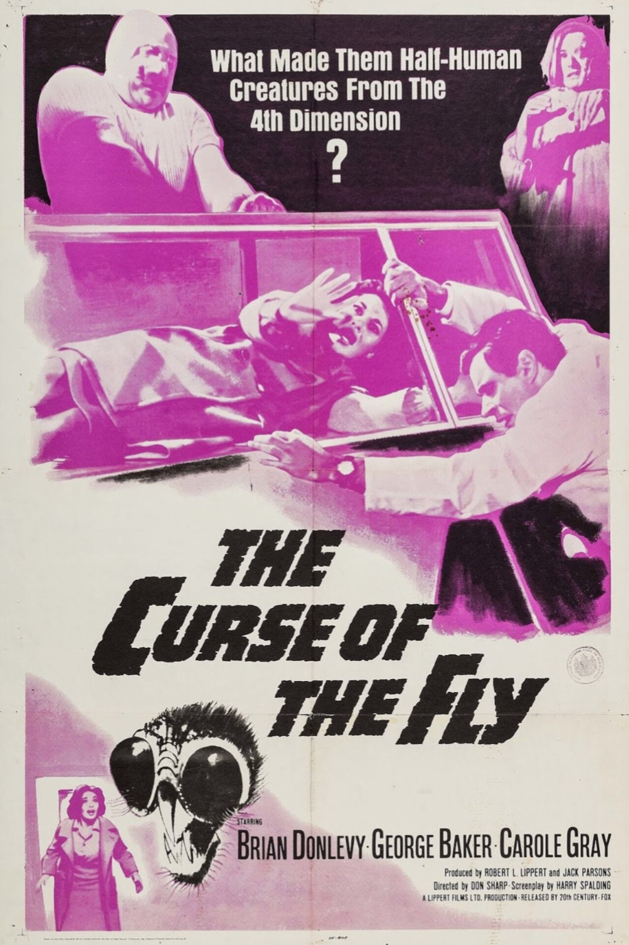 Curse of the Fly