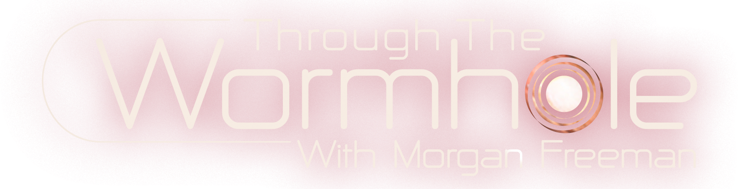 Through the Wormhole Logo