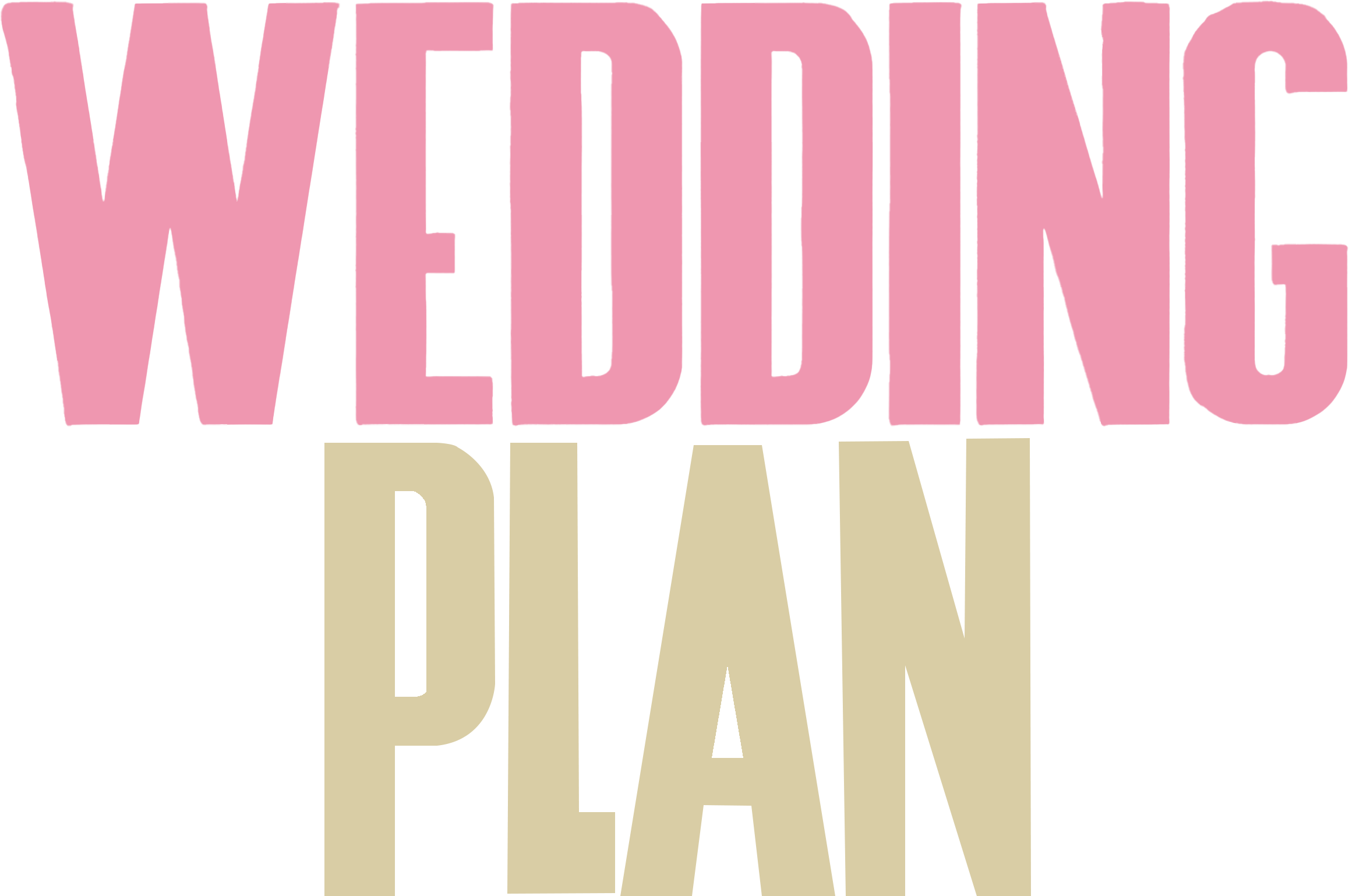 Wedding Plan