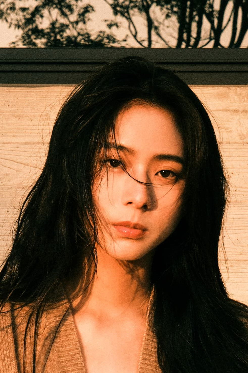 et billede af Mo-Yao Yuan