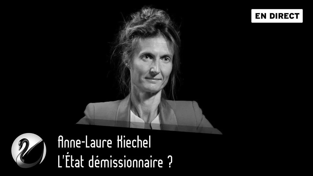 Thinkerview - L'État démissionnaire ? Anne-Laure Kiechel